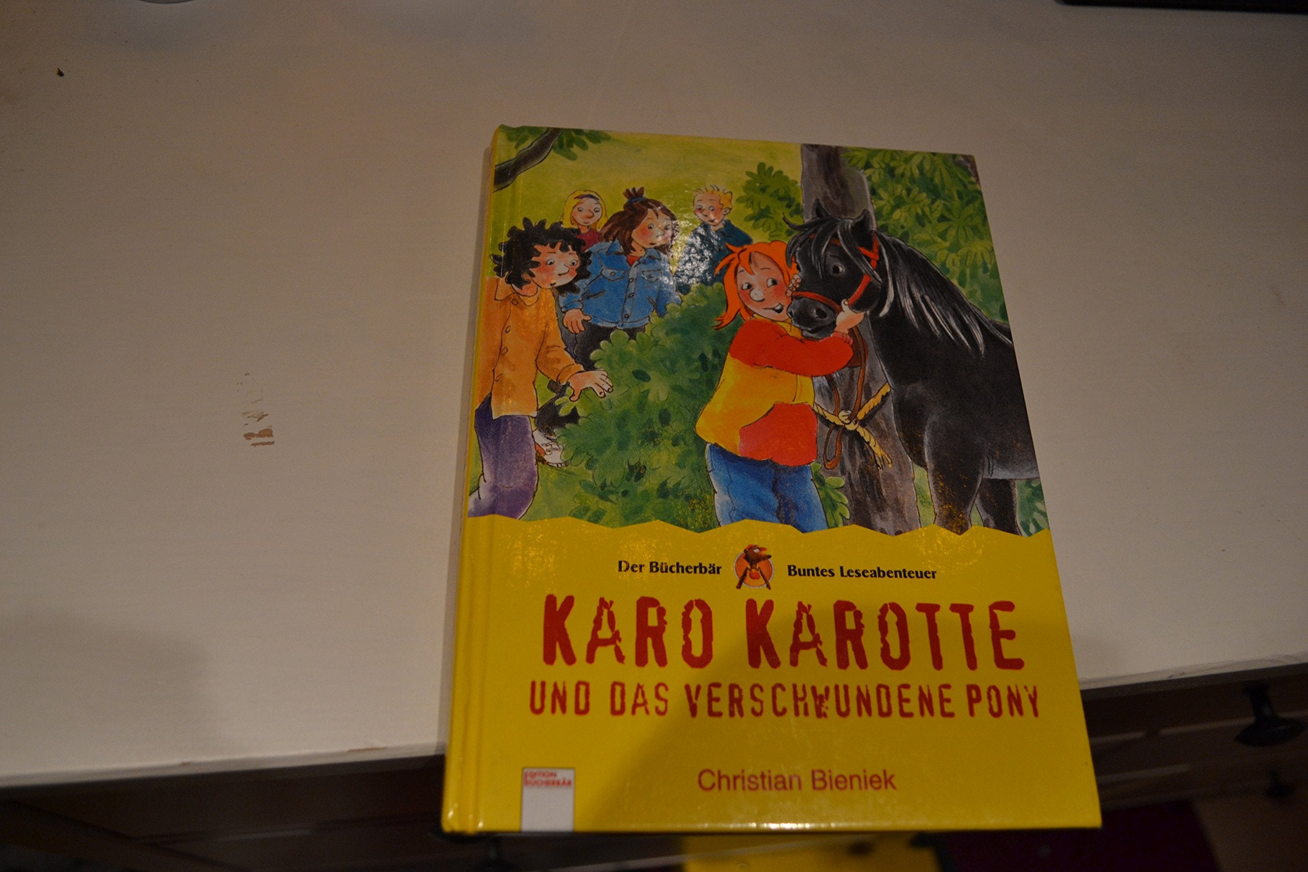 Karo Karotte und das verschwundene Pony (Buntes Leseabenteuer) Novels & Short Stories