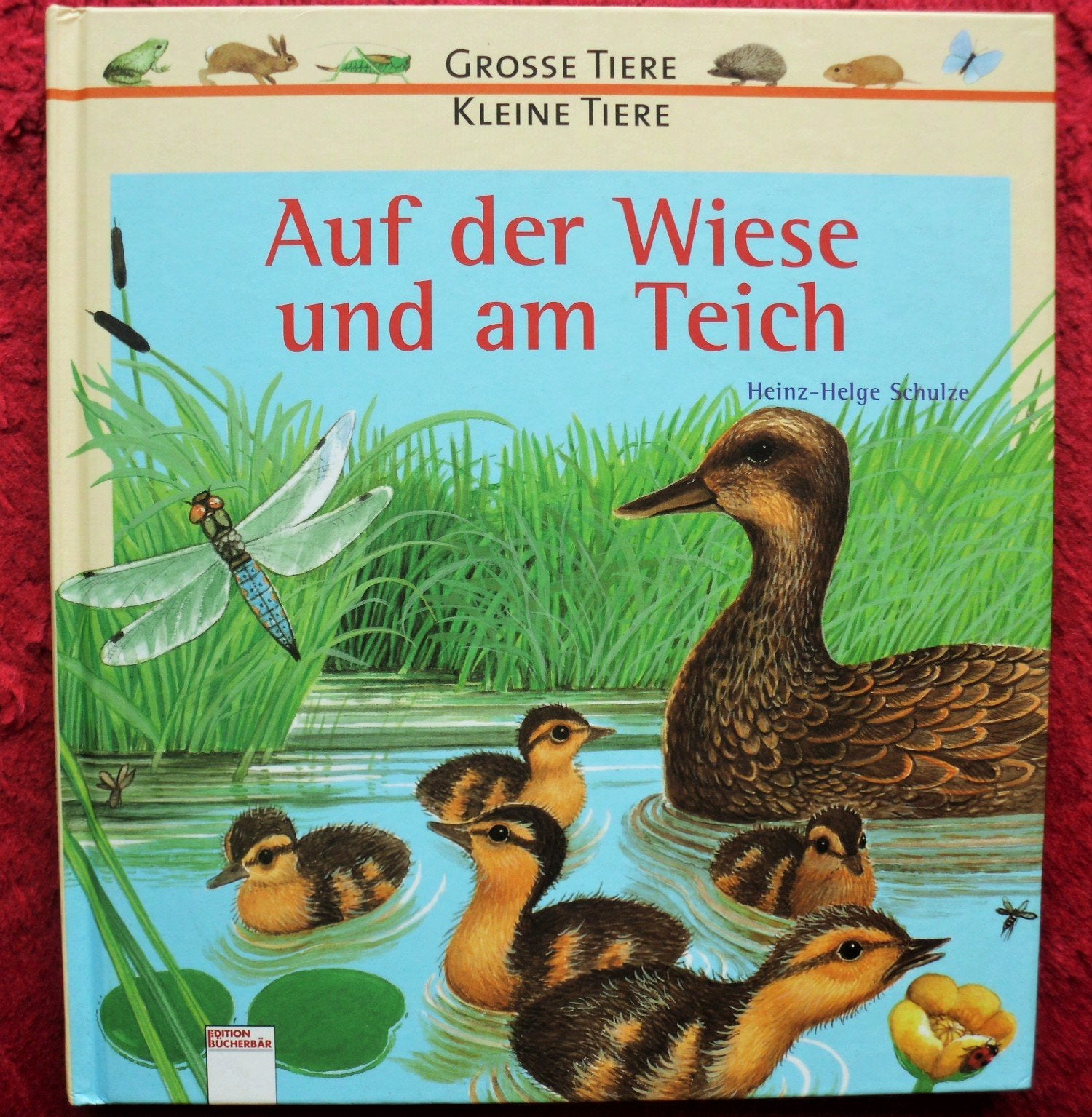 Auf der Wiese und am Teich (Grosse Tiere, kleine Tiere) Non-fiction
