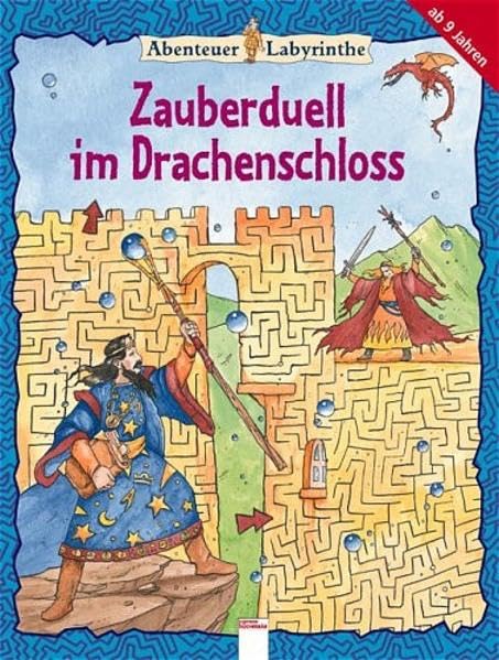 Zauberduell im Drachenschloss Non-fiction