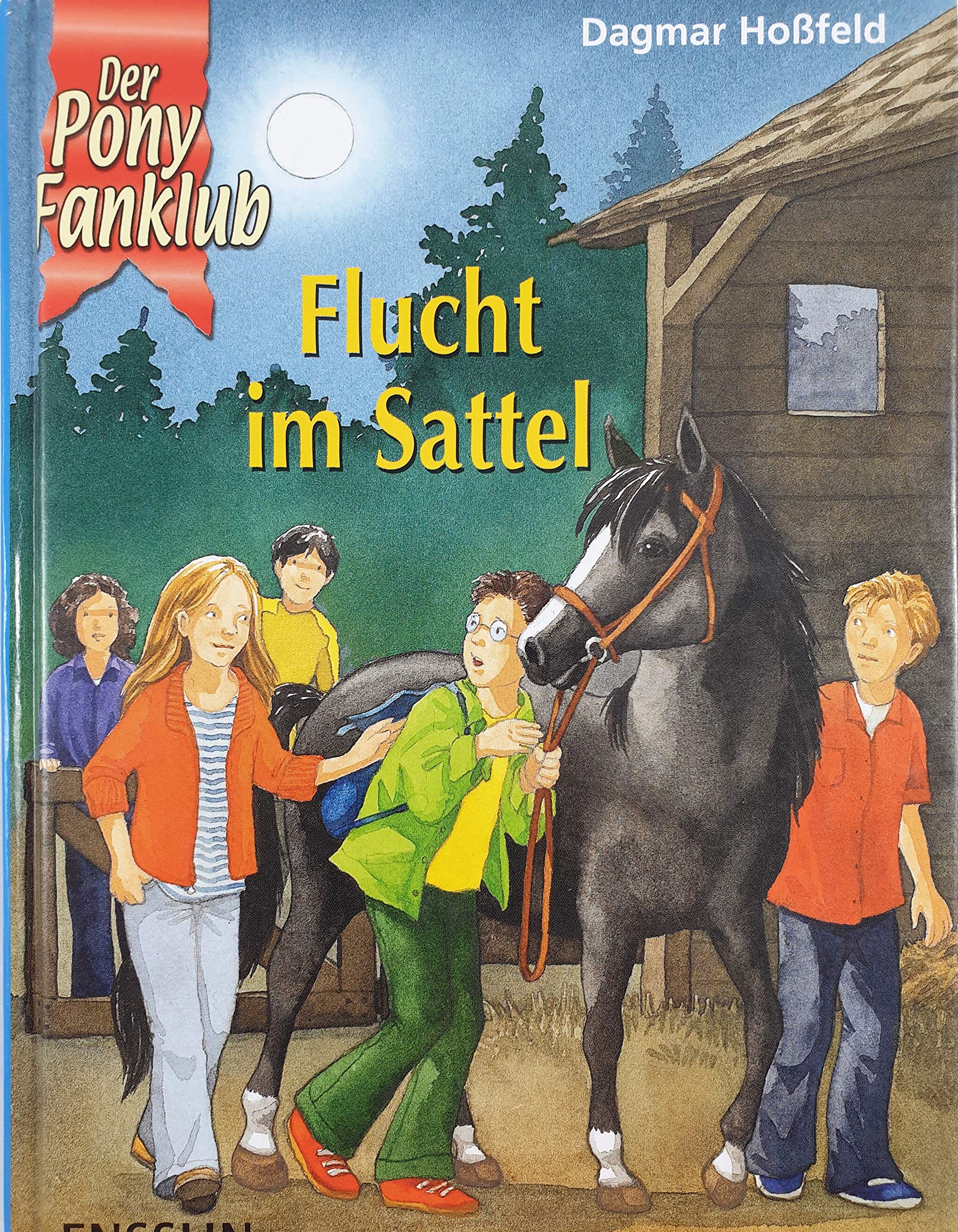 Flucht im Sattel Novels & Short Stories for children