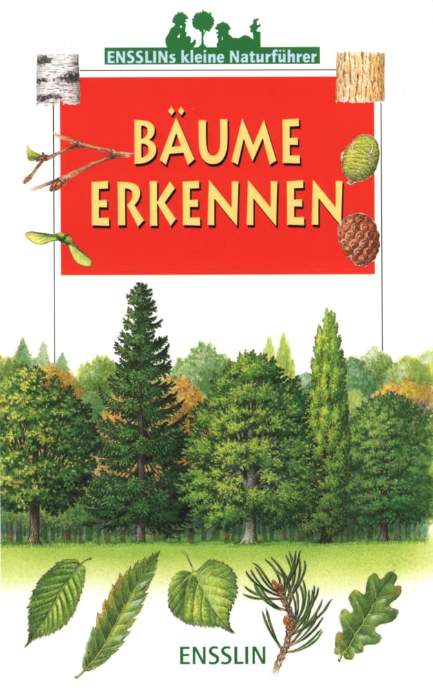 Product Image: Bäume erkennen