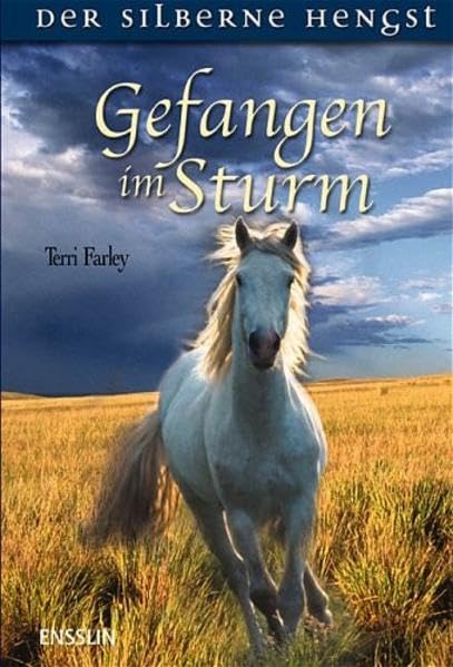 Product Image: Gefangen im Sturm