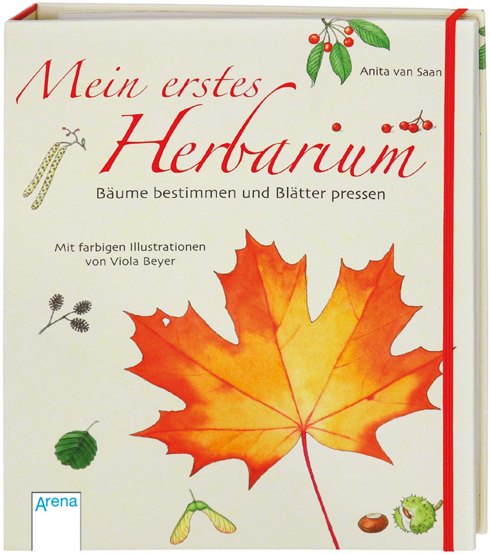 Mein erstes Herbarium - Bäume bestimmen und Blätter pressen Leisure, Home & Garden