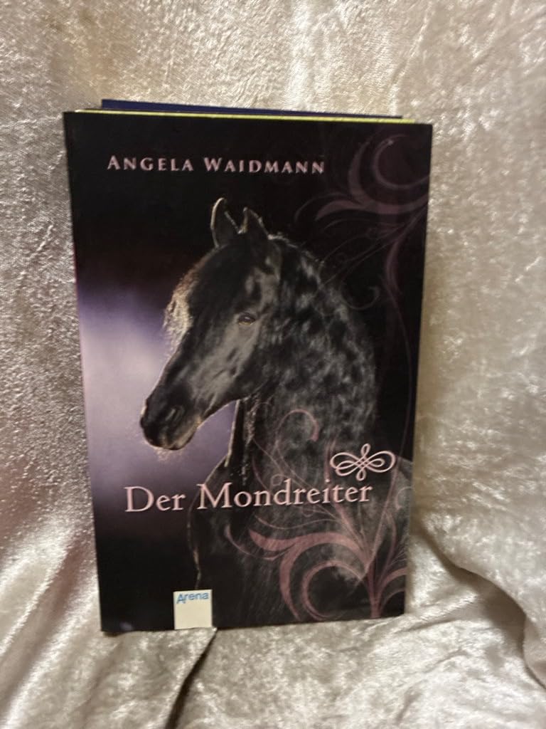Der Mondreiter (Taschenbuch Kinderbuch ab 10) Novels & Short Stories