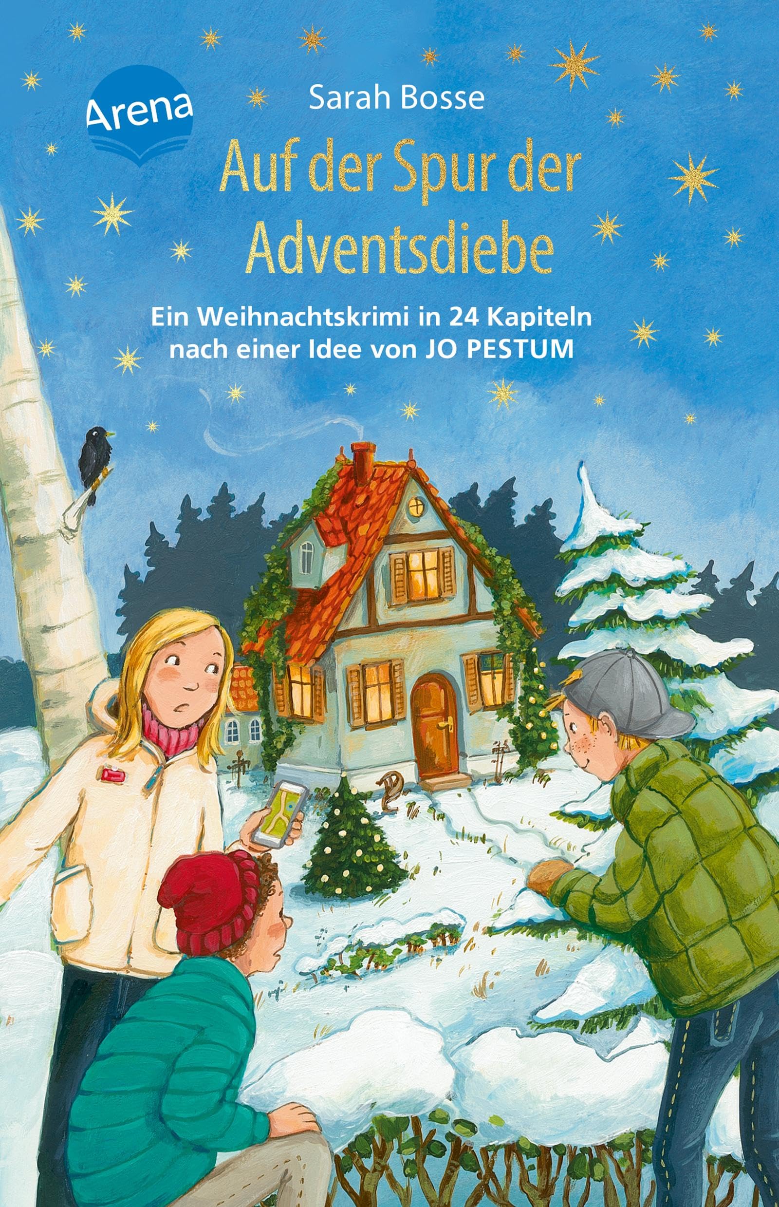 Auf der Spur der Adventsdiebe. Ein Weihnachtskrimi in 24 Kapiteln nach einer Idee von Jo Pestum Contemporary literature
