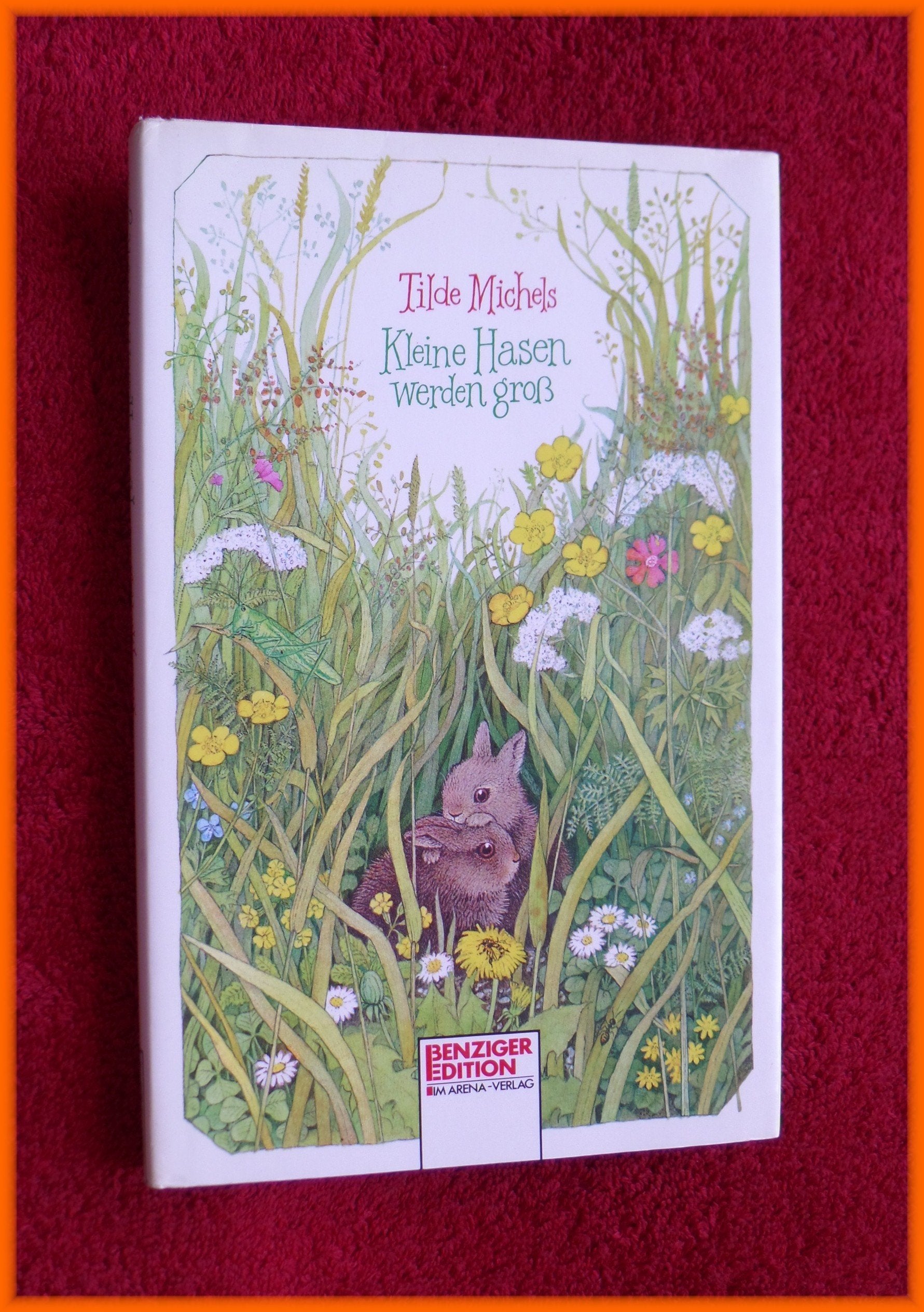 Product Image: Kleine Hasen werden groß