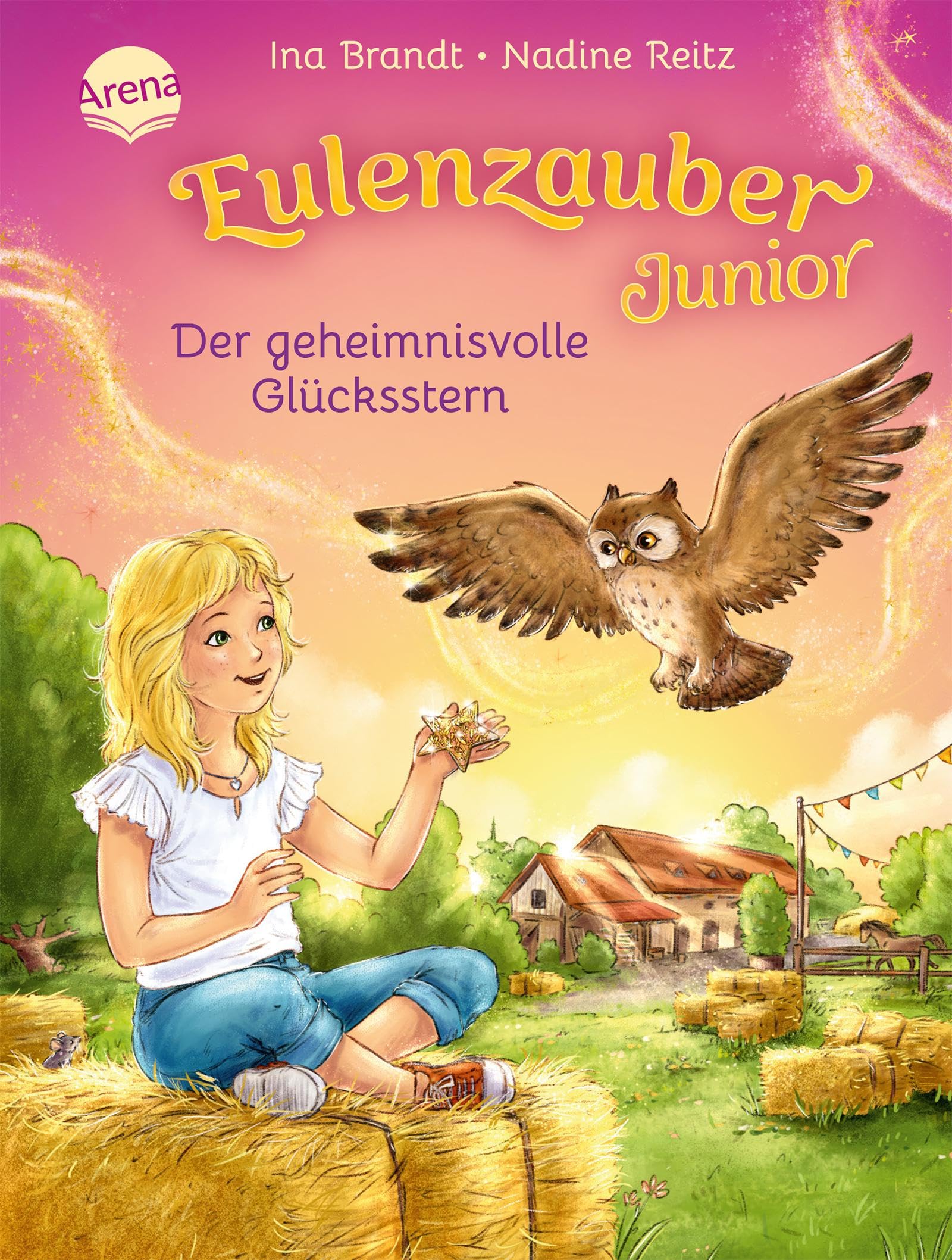 Eulenzauber Junior (2). Der geheimnisvolle Glücksstern book