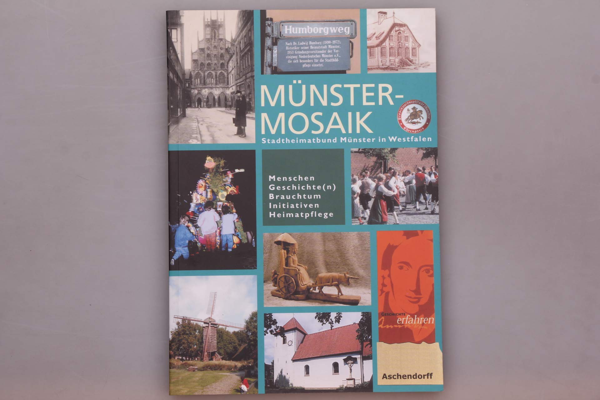 Münster-Mosaik Social Sciences