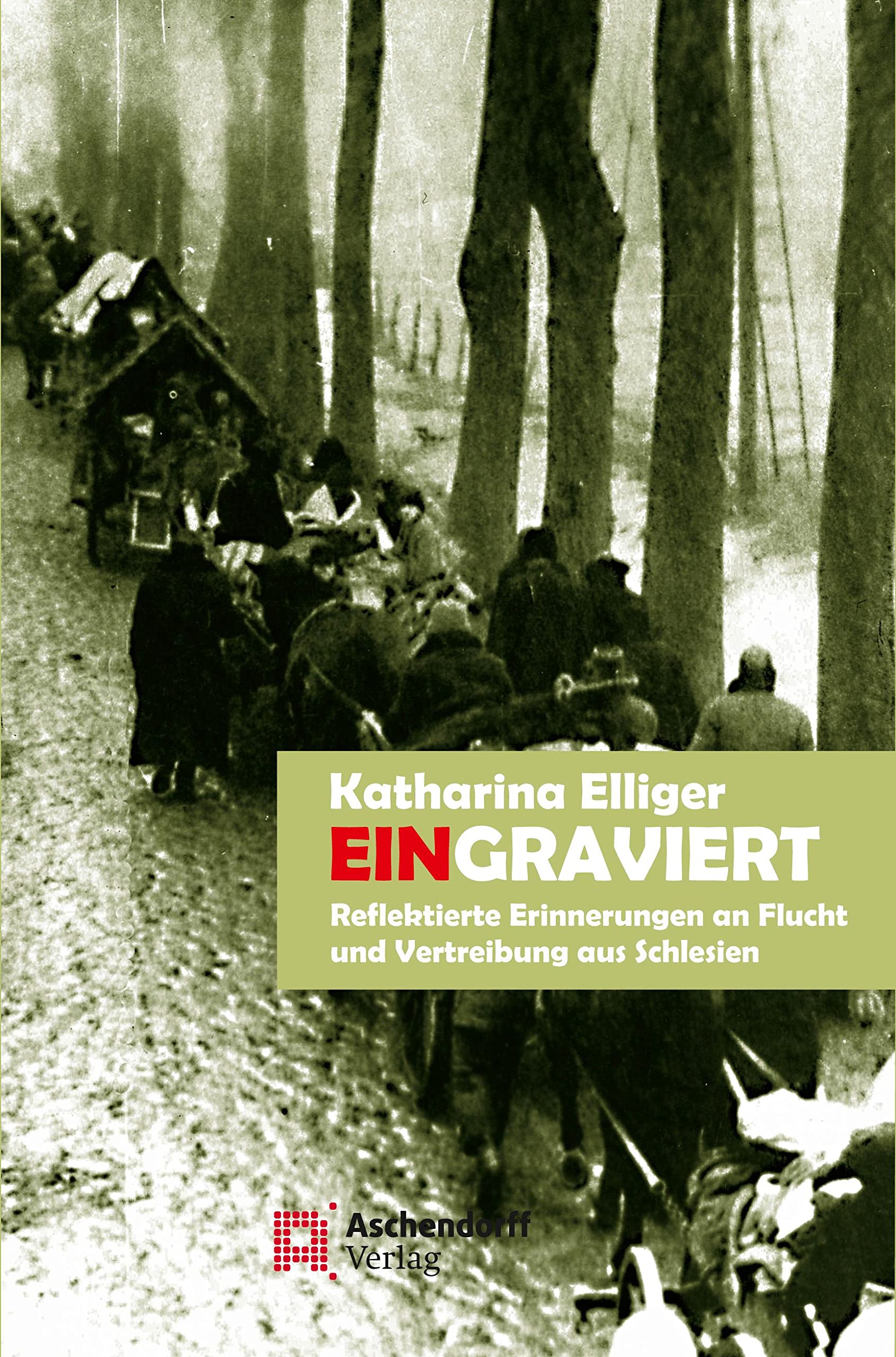 Eingraviert: Reflektierte Erinnerungen an Flucht und Vertreibung aus Schlesien German history