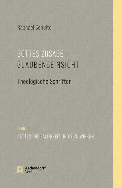 Gottes Zusage - Glaubenseinsicht: Theologische Schriften Religion & Esotericism