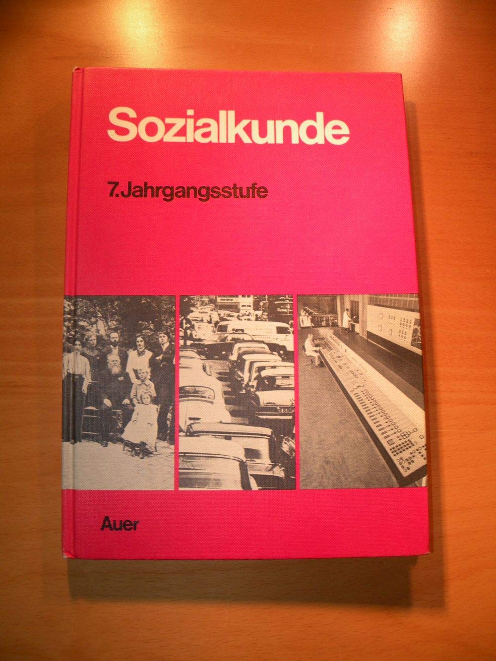 Sozialkunde 7 Schülerarbeitsbuch für den Unterricht der Sozialkunde Books