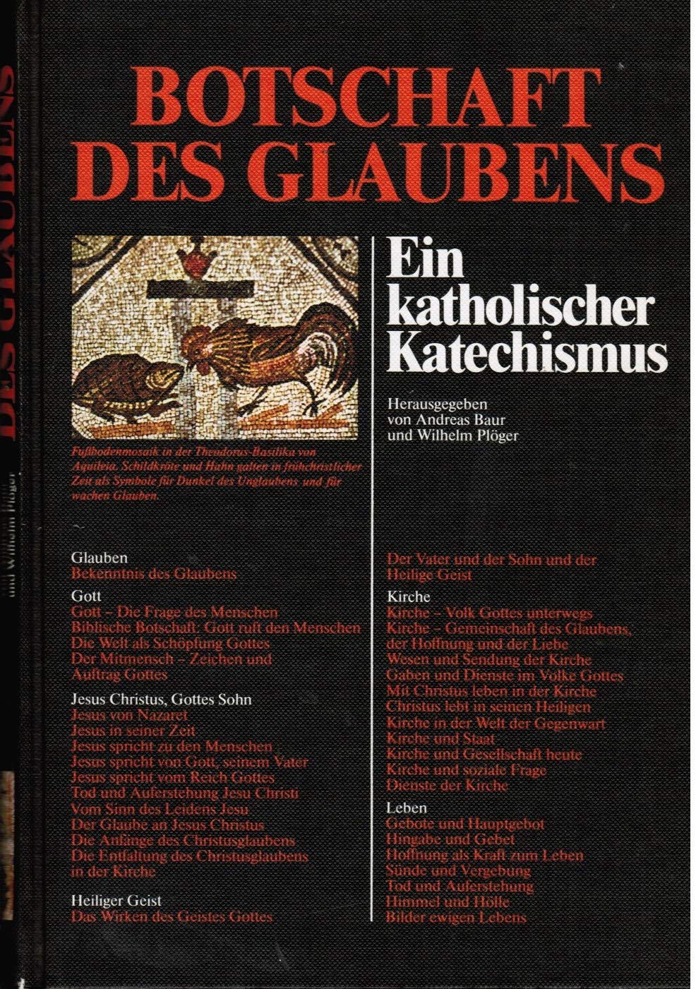 Botschaft des Glaubens: Ein katholischer Katechismus Learning & Reference Books