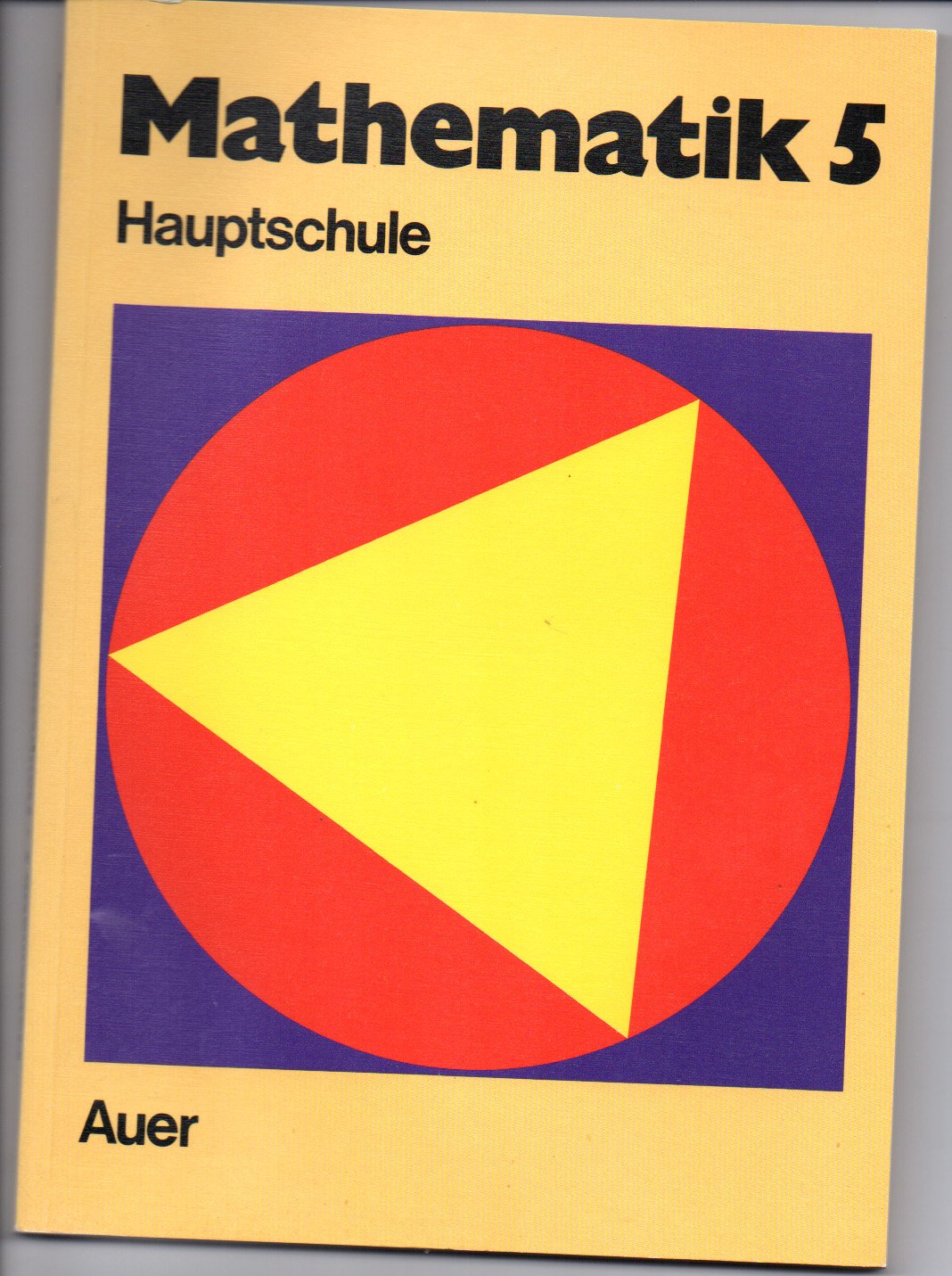 Mathematik Hauptschule. Ein Arbeits- und Übungsbuch: 5. Jahrgangsstufe Mathematics