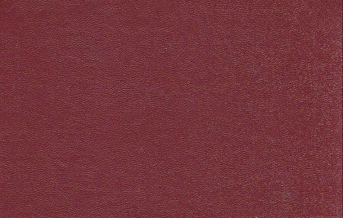 Gotteslob. Katholisches Gebet- und Gesangbuch mit dem erweiterten Diözesanteil Augsburg / Diözese Augsburg: Kunstlederausgabe (weinrot), mit Naturschnitt Religion & Esotericism