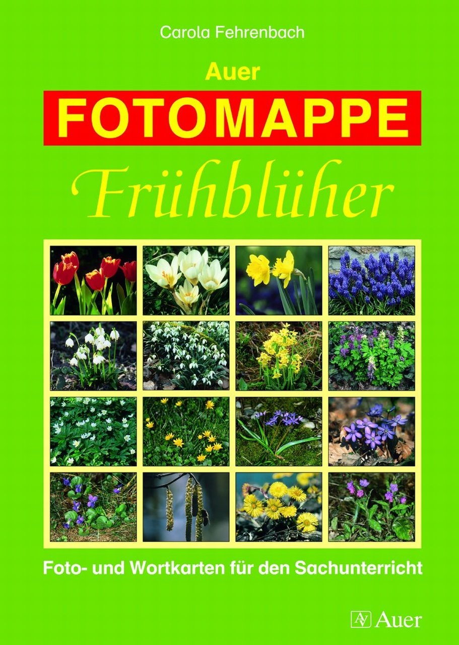 Auer FOTOMAPPE - Frühblüher: Foto- und Wortkarten für den Sachunterricht (1. bis 4. Klasse) Education & Training