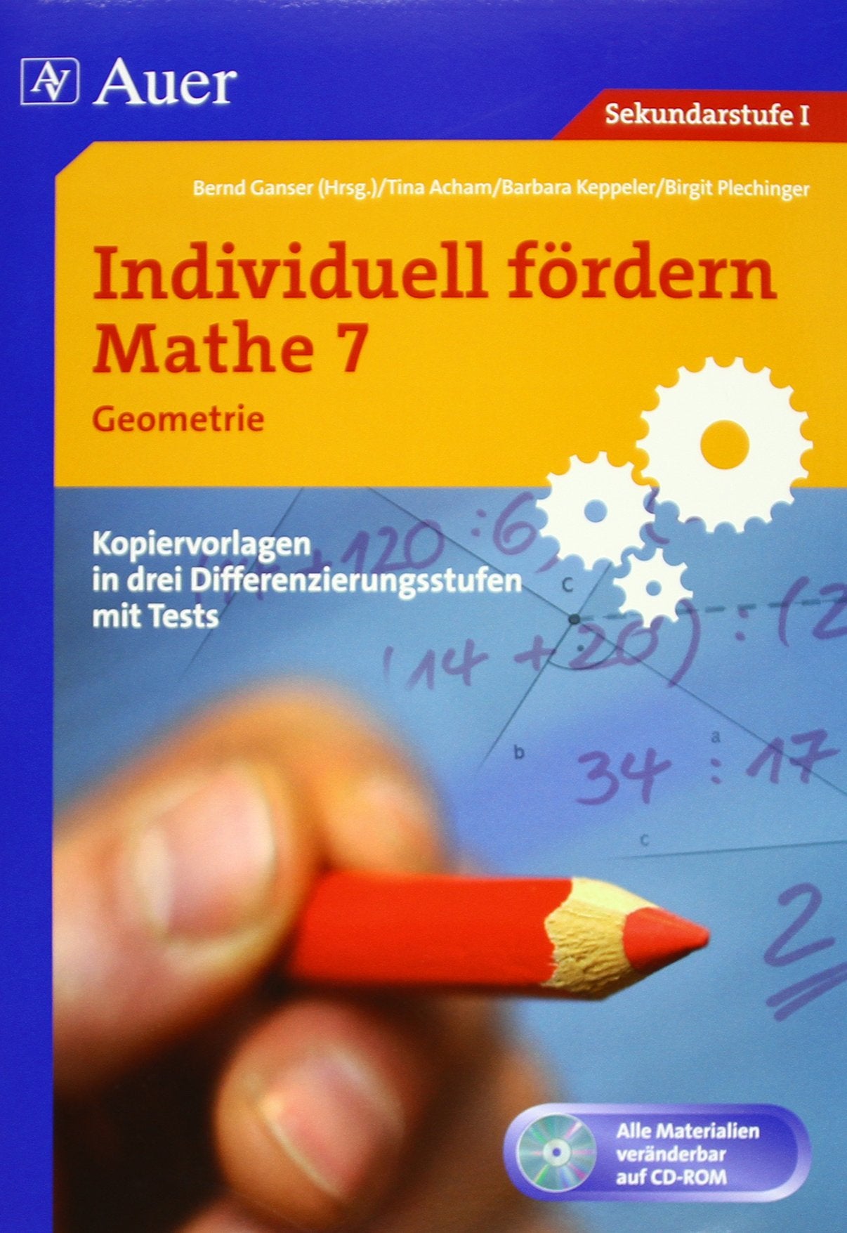 Acham, T: Individuell fördern: Mathe 7 book