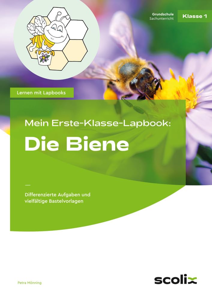 Mein Erste-Klasse-Lapbook: Die Biene Learning & Reference