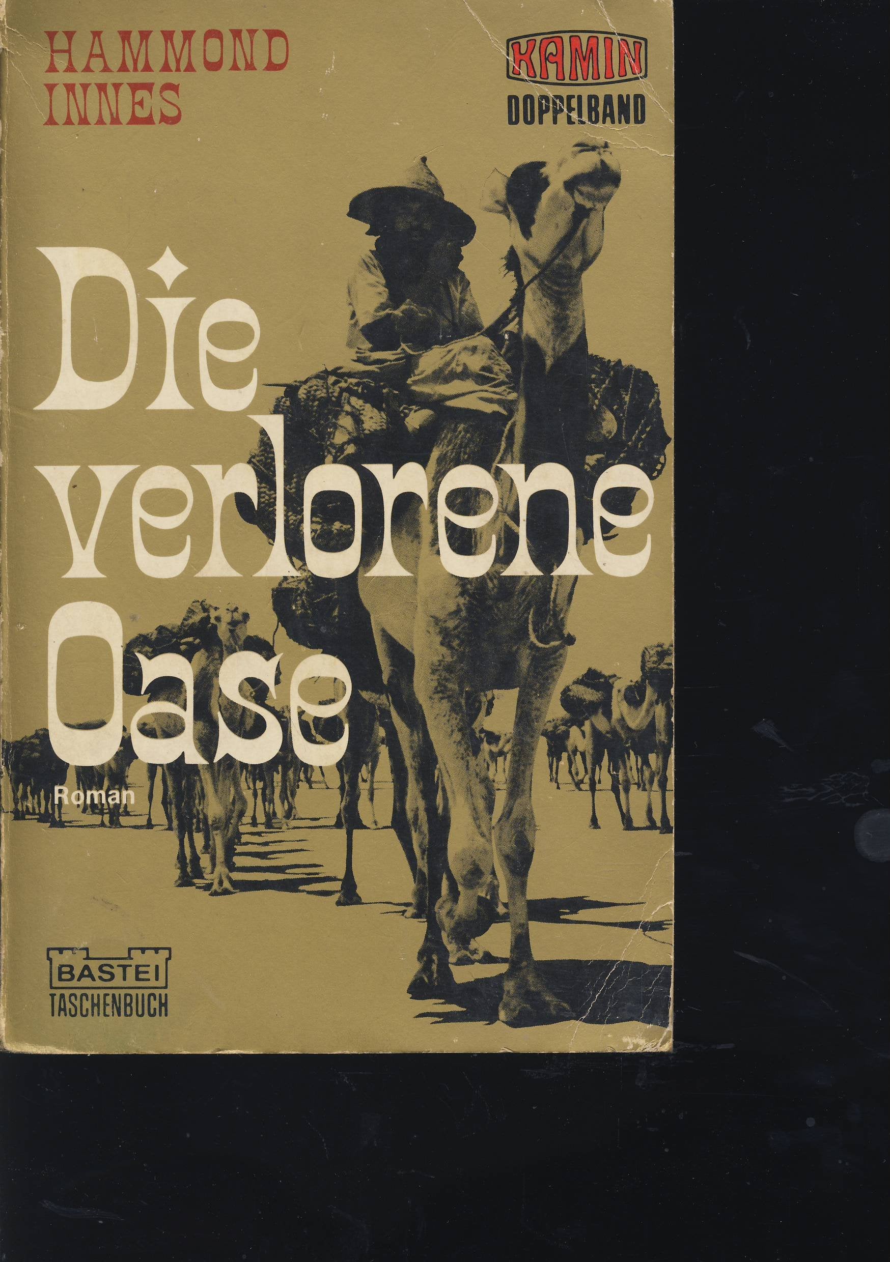 Die verlorene Oase (Allgemeine Reihe. Bastei Lübbe Taschenbücher) Books