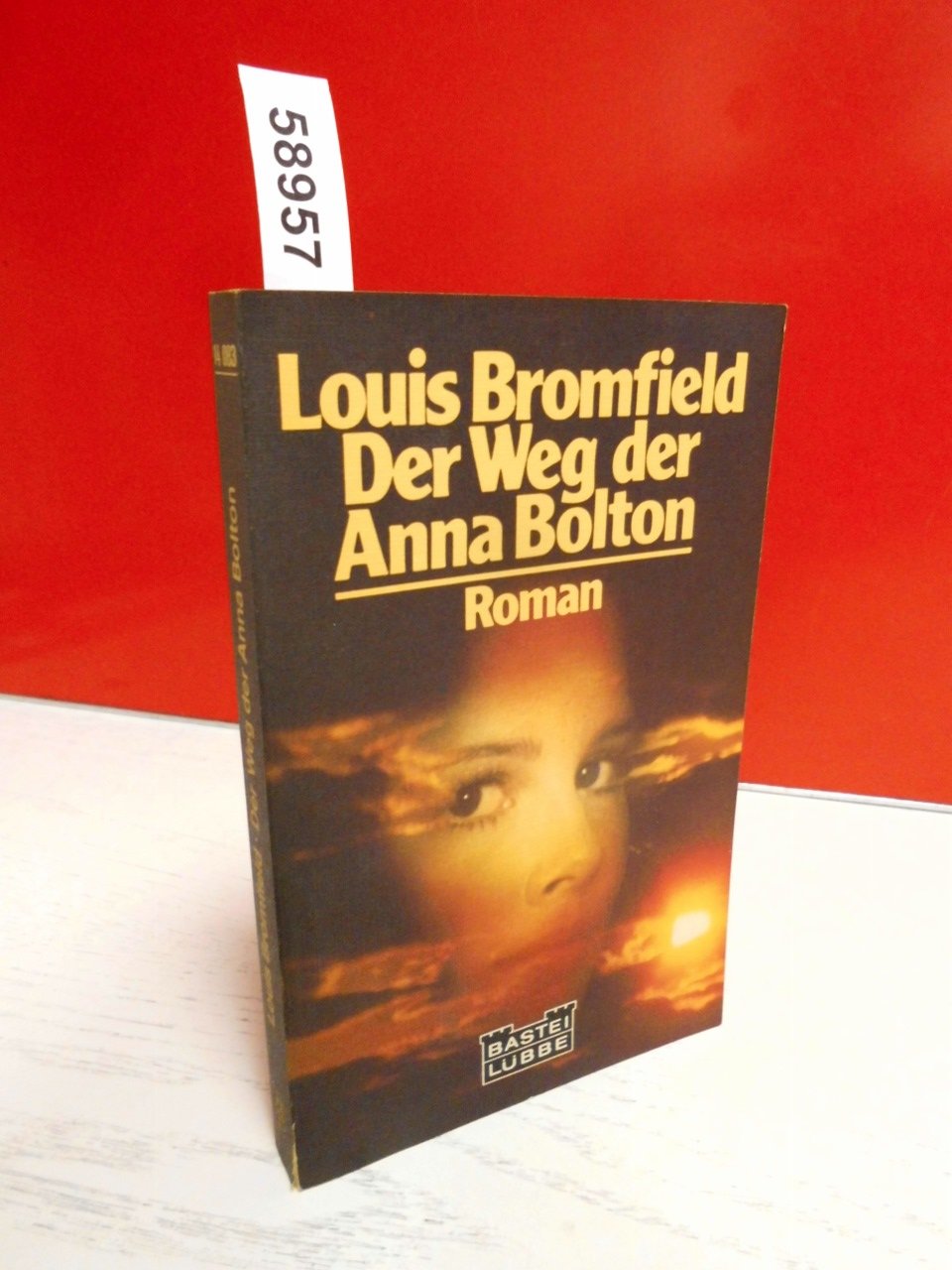 Der Weg der Anna Bolton (Allgemeine Reihe. Bastei Lübbe Taschenbücher) Books