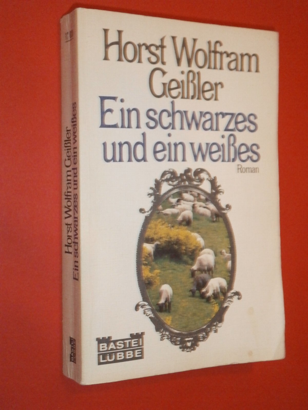 Ein Schwarzes und ein Weisses. (Allgemeine Reihe. Bastei Lübbe Taschenbücher) Books