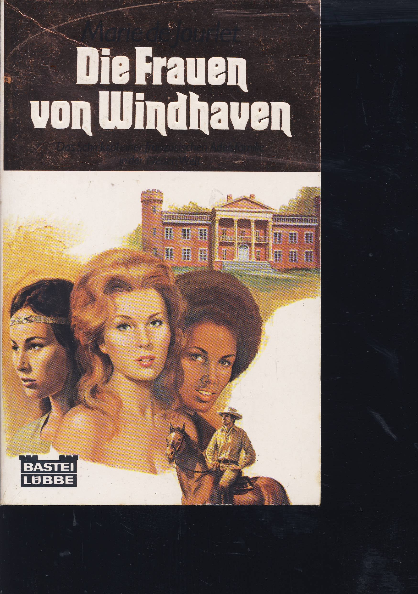 Die Frauen von Windhaven (Allgemeine Reihe. Bastei Lübbe Taschenbücher) Books