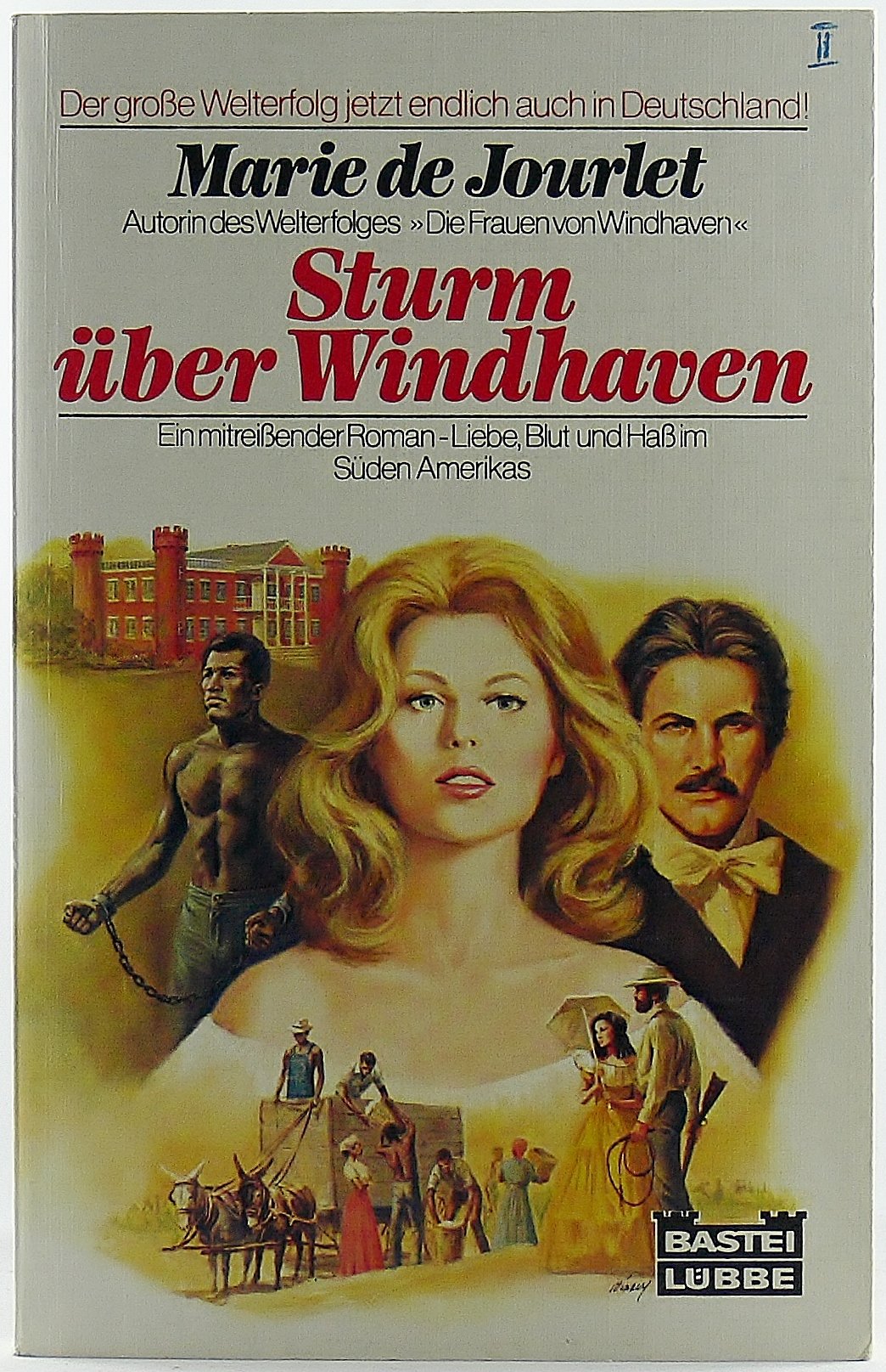 Sturm über Windhaven (Allgemeine Reihe. Bastei Lübbe Taschenbücher) Books