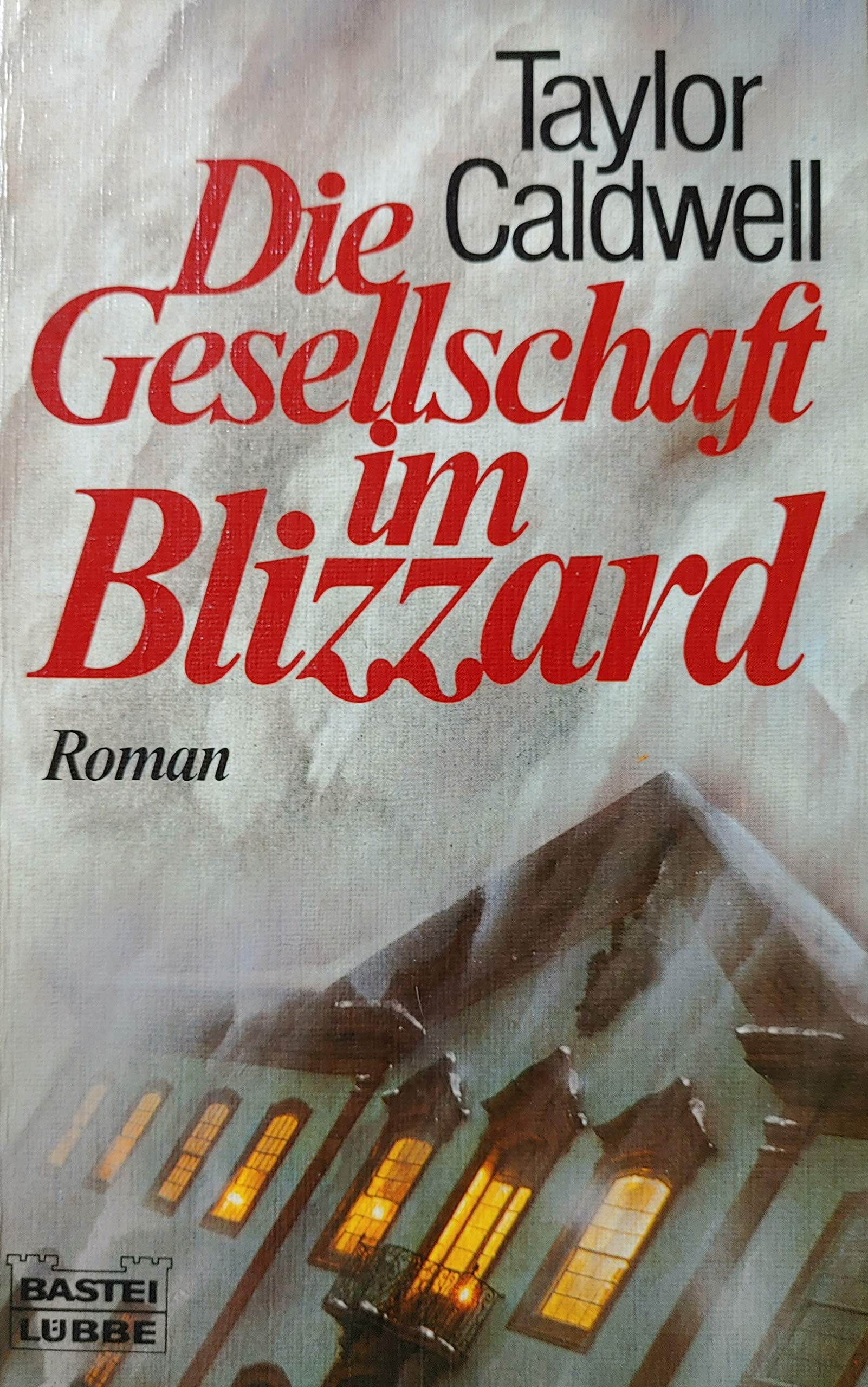 Die Gesellschaft im Blizzard (Allgemeine Reihe. Bastei Lübbe Taschenbücher) Books