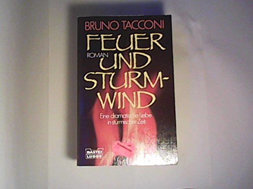 Feuer und Sturmwind (Allgemeine Reihe. Bastei Lübbe Taschenbücher) Books