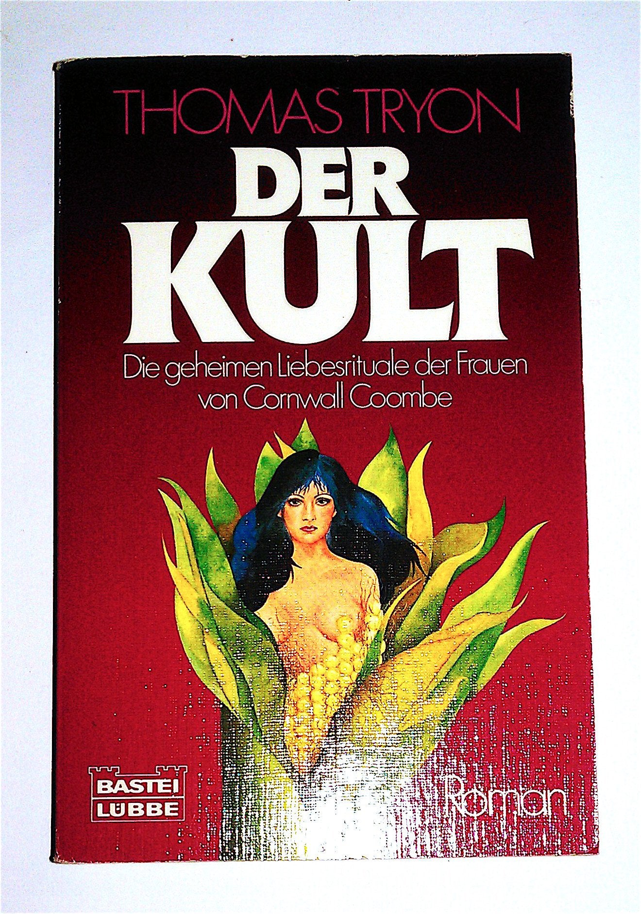 Der Kult (Allgemeine Reihe. Bastei Lübbe Taschenbücher) Books