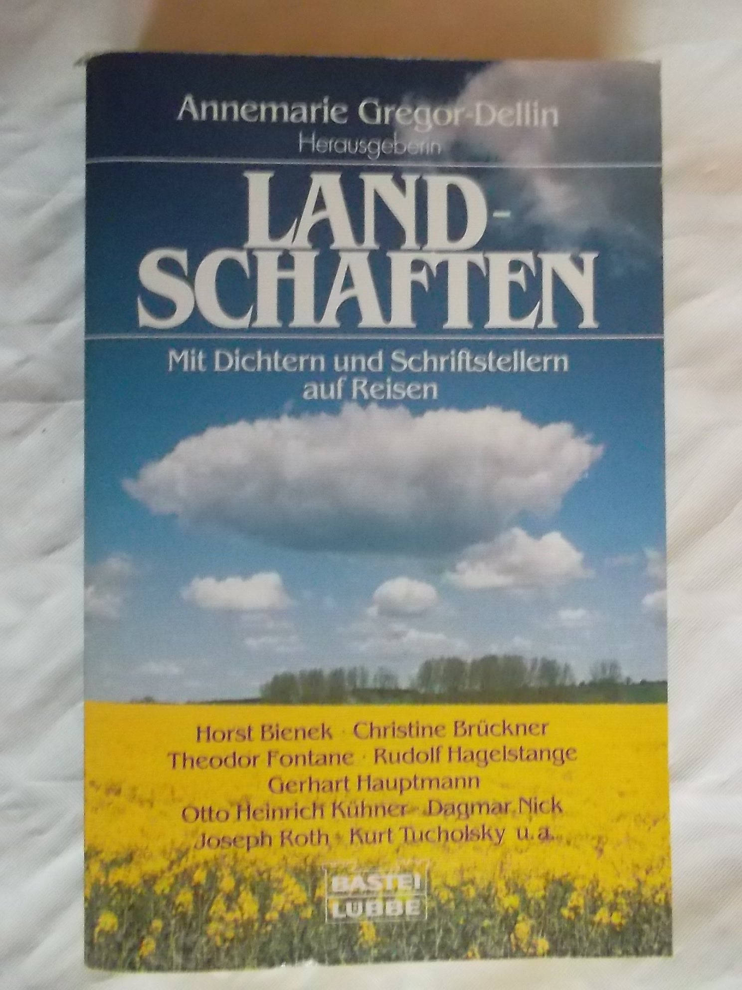 Landschaften: Mit Dichtern und Schriftstellern auf Reisen (Allgemeine Reihe. Bastei Lübbe Taschenbücher) Books
