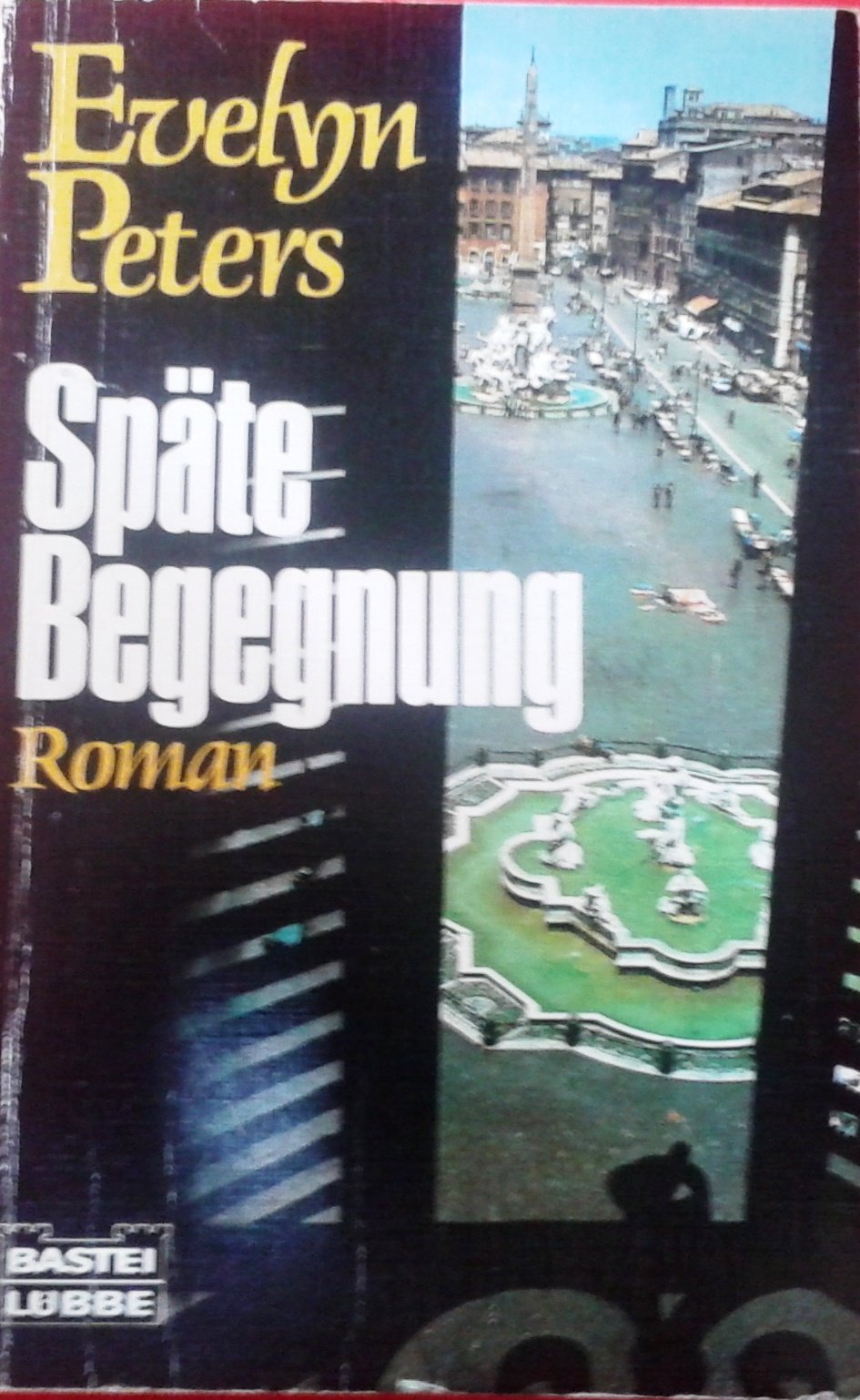 Späte Begegnung (Allgemeine Reihe. Bastei Lübbe Taschenbücher) Books