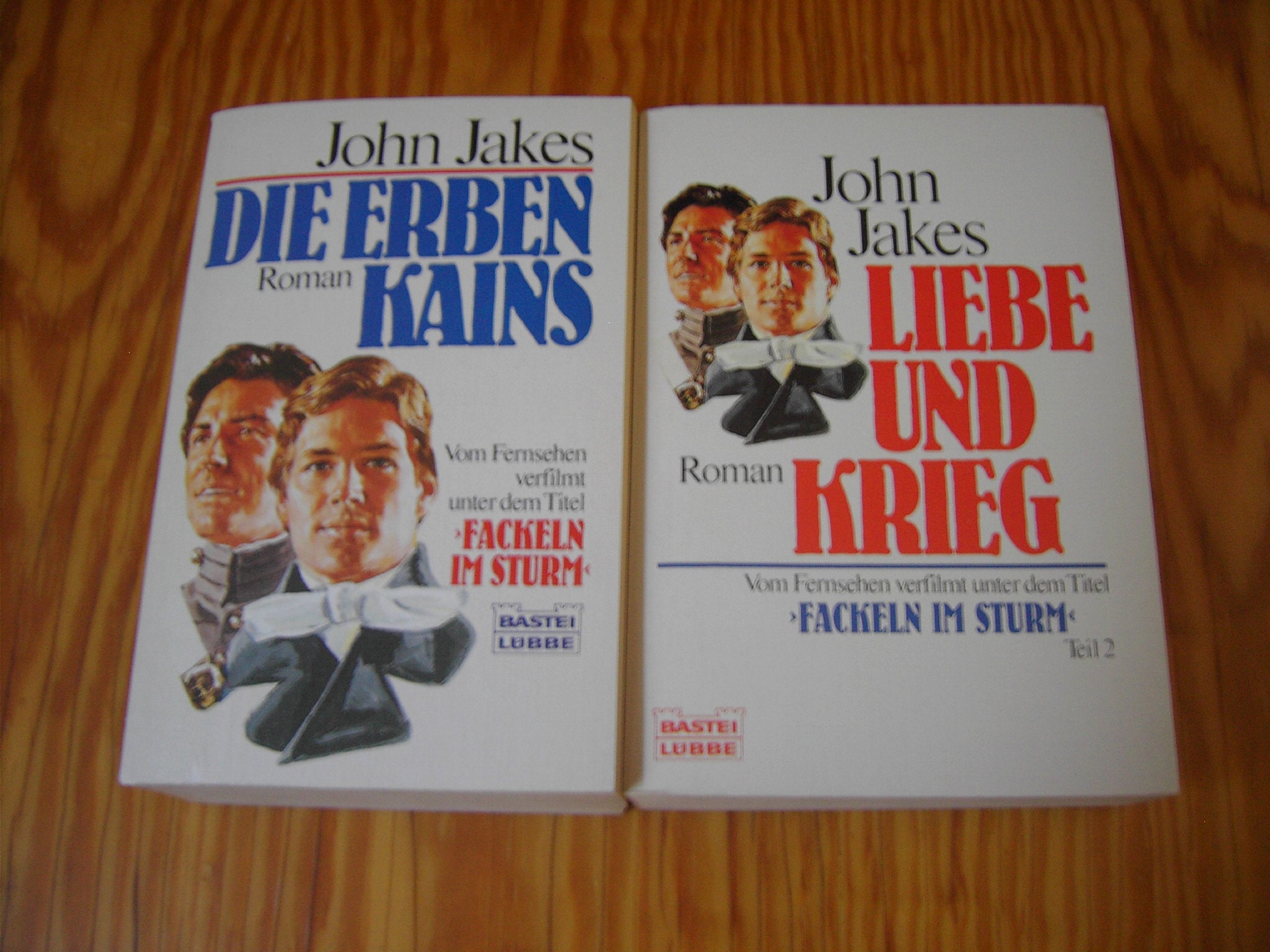 Liebe und Krieg: (Fackeln im Sturm, Teil 2) (Allgemeine Reihe. Bastei Lübbe Taschenbücher) Fiction