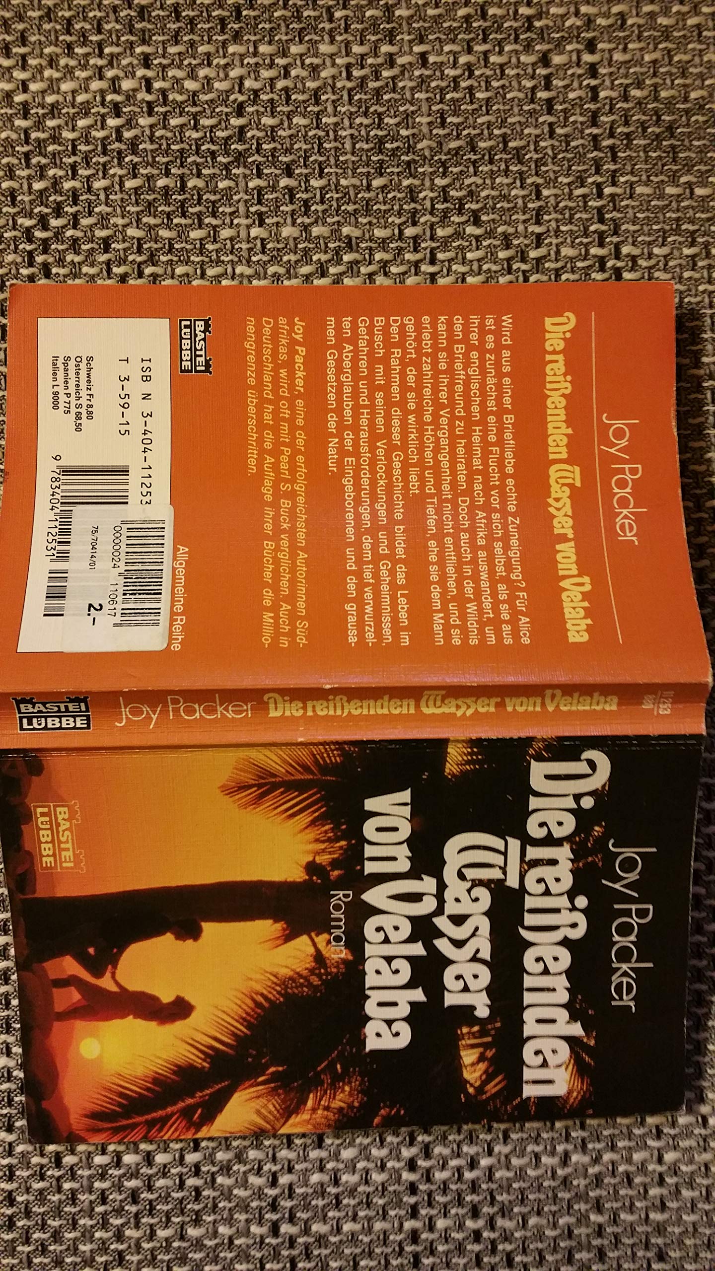 Die reissenden Wasser von Velaba (Allgemeine Reihe. Bastei Lübbe Taschenbücher) Books