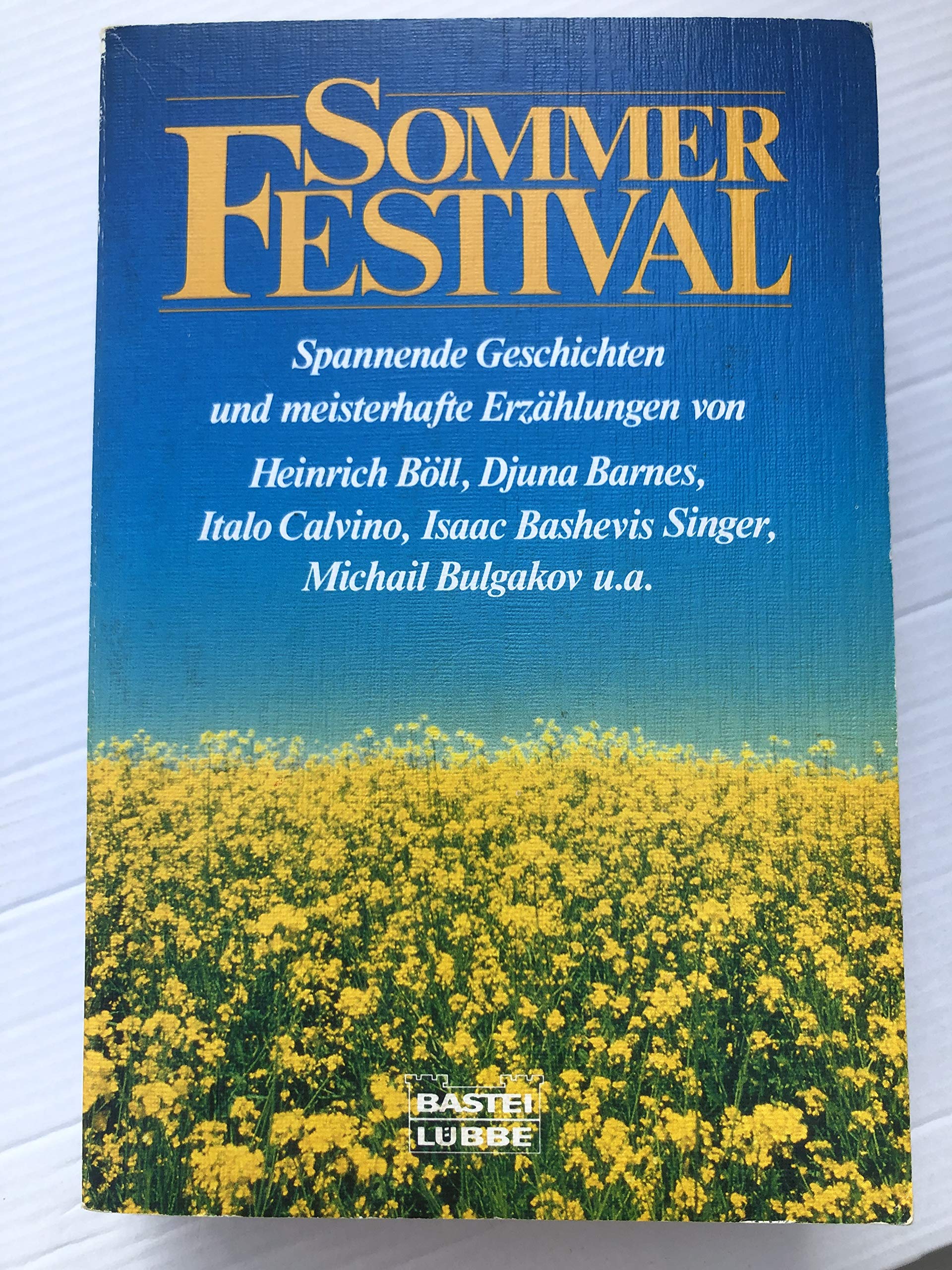 Sommerfestival (Allgemeine Reihe. Bastei Lübbe Taschenbücher) Politics & History