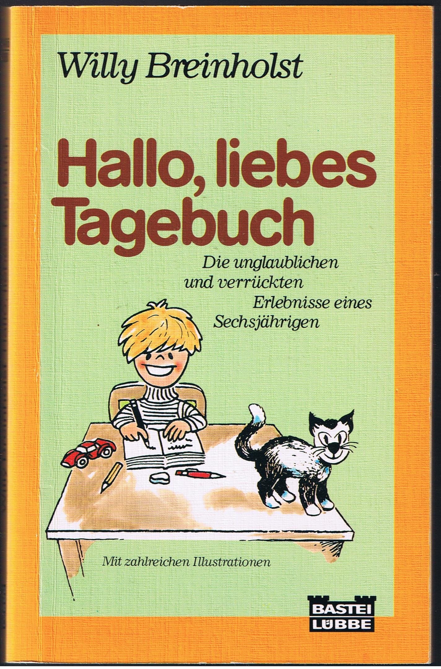 Hallo, liebes Tagebuch (Allgemeine Reihe. Bastei Lübbe Taschenbücher) Books