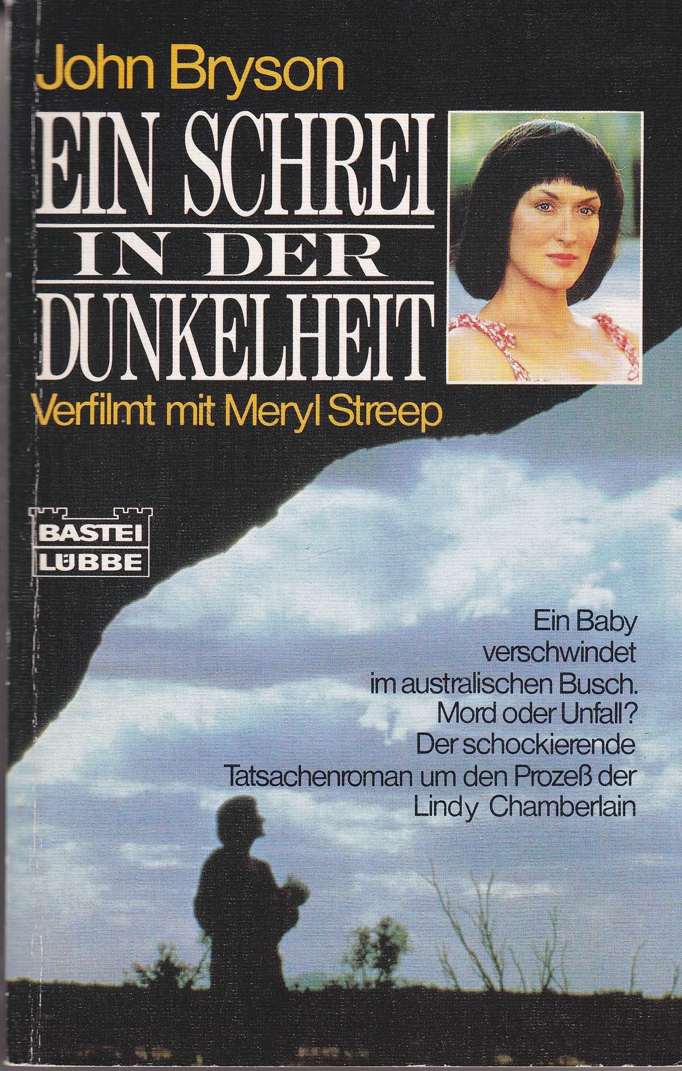 Ein Schrei in der Dunkelheit (Allgemeine Reihe. Bastei Lübbe Taschenbücher) Books