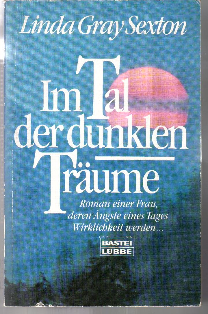 Im Tal der dunklen Träume (Allgemeine Reihe. Bastei Lübbe Taschenbücher) Books