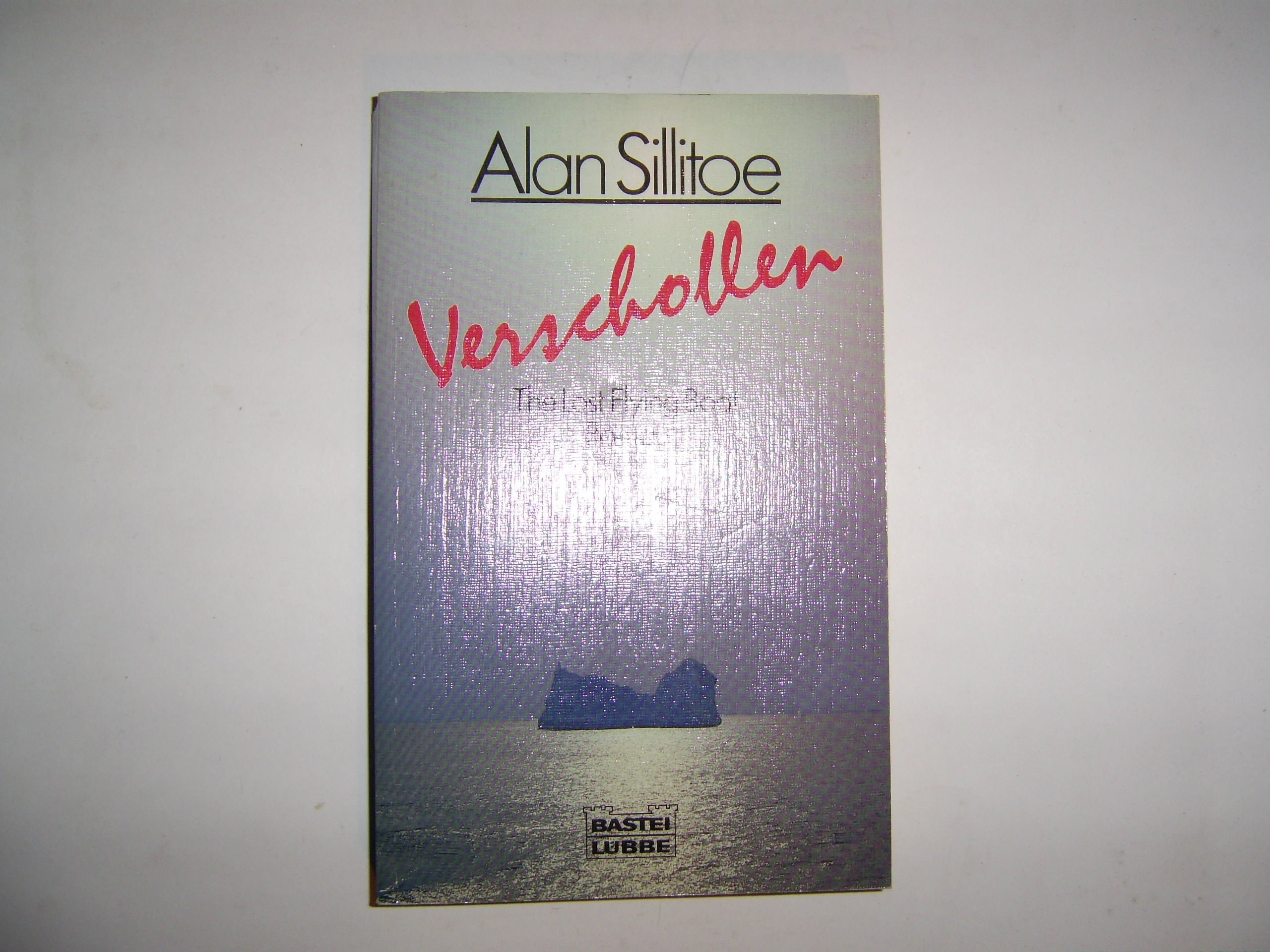 Verschollen (Allgemeine Reihe. Bastei Lübbe Taschenbücher) Books