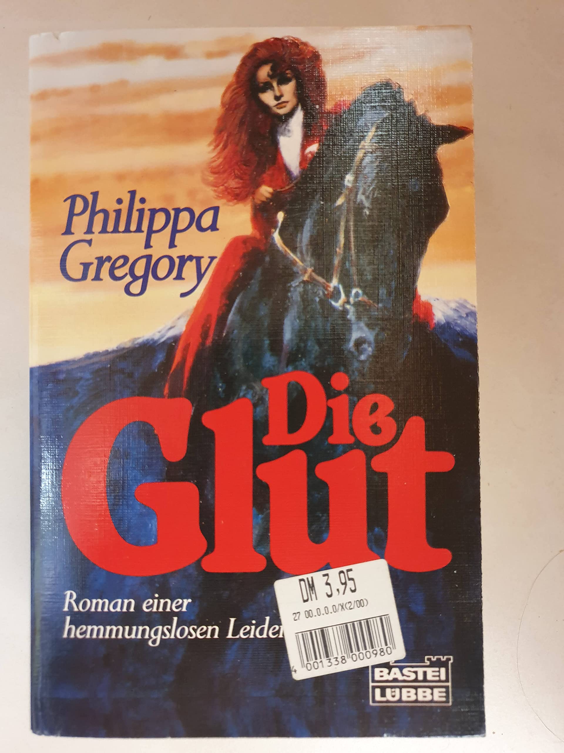 Die Glut (Allgemeine Reihe. Bastei Lübbe Taschenbücher) Classics