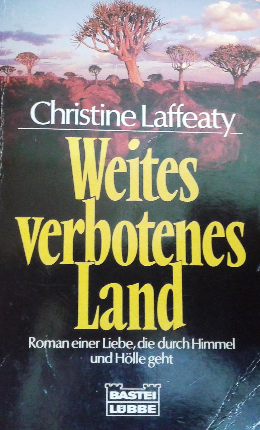 Weites verbotenes Land (Allgemeine Reihe. Bastei Lübbe Taschenbücher) Historical Fiction