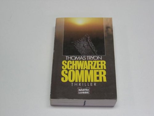 Schwarzer Sommer (Allgemeine Reihe. Bastei Lübbe Taschenbücher) Books
