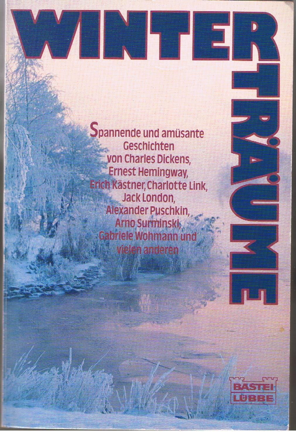 Winter Träume (Allgemeine Reihe. Bastei Lübbe Taschenbücher) Books
