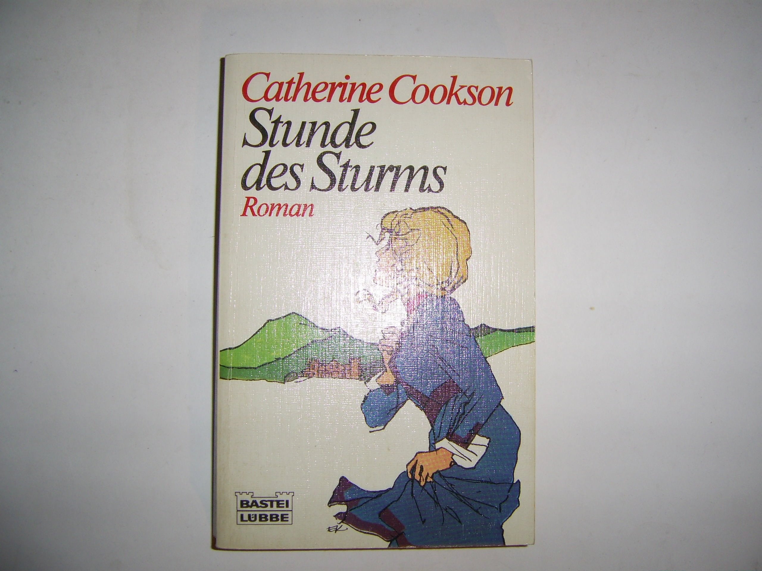 Stunde des Sturms (6304 095). Roman. Books