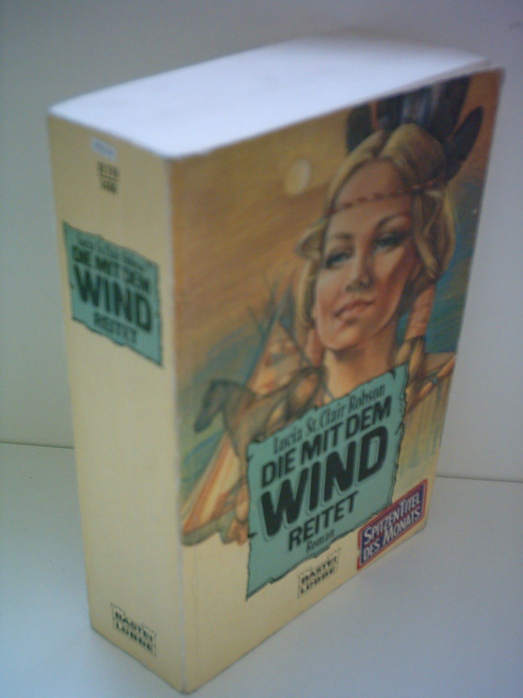 Die mit dem Wind reitet (Allgemeine Reihe. Bastei Lübbe Taschenbücher) Classics