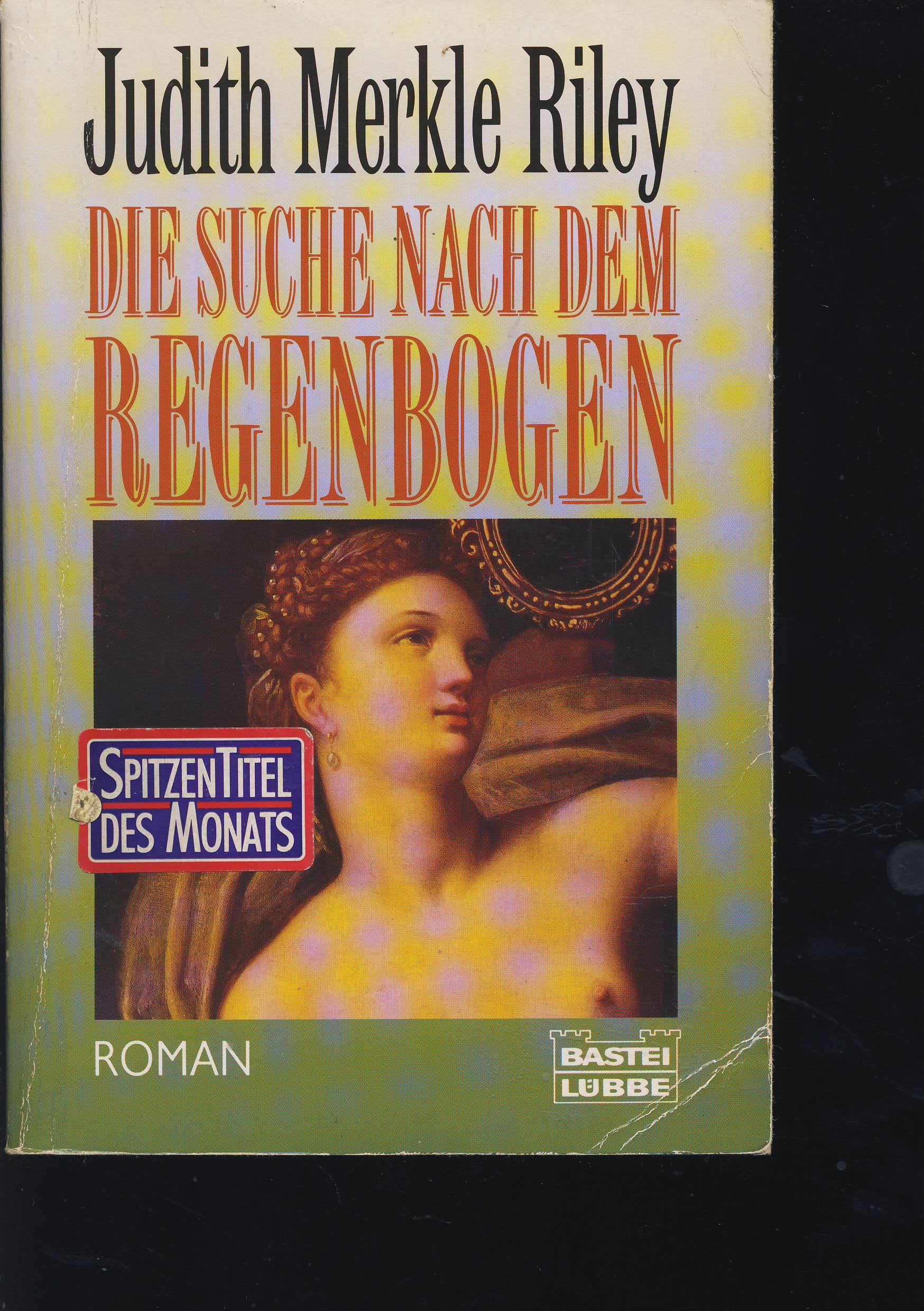 Die Suche nach dem Regenbogen (Allgemeine Reihe. Bastei Lübbe Taschenbücher) Historical Fiction