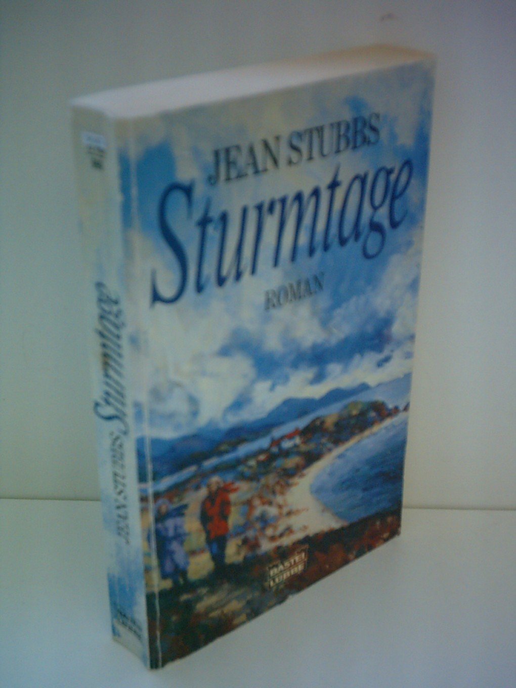 Sturmtage (Allgemeine Reihe. Bastei Lübbe Taschenbücher) Books