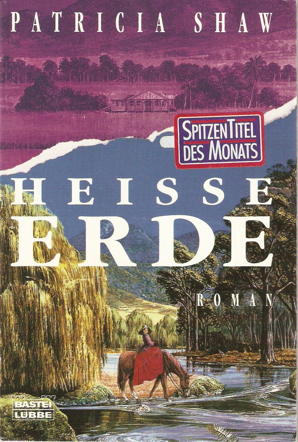 Heiße Erde (Allgemeine Reihe. Bastei Lübbe Taschenbücher) Books