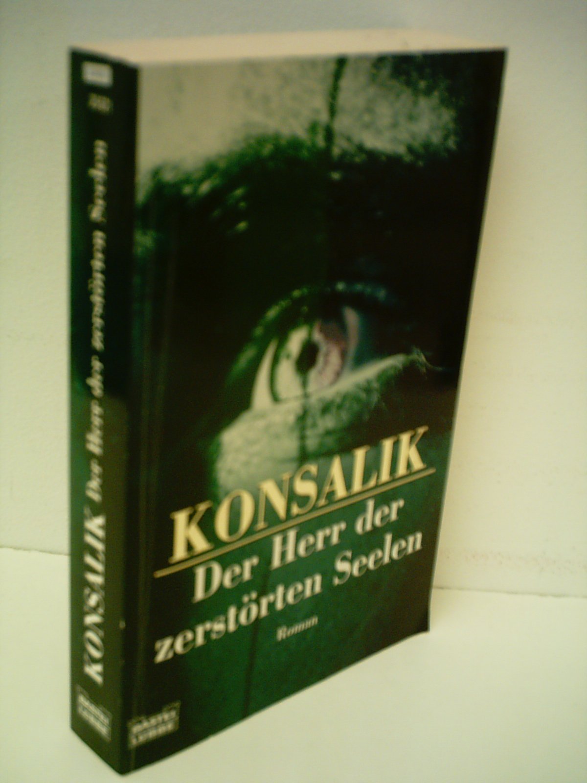 Der Herr der zerstörten Seelen (Allgemeine Reihe. Bastei Lübbe Taschenbücher) Contemporary literature
