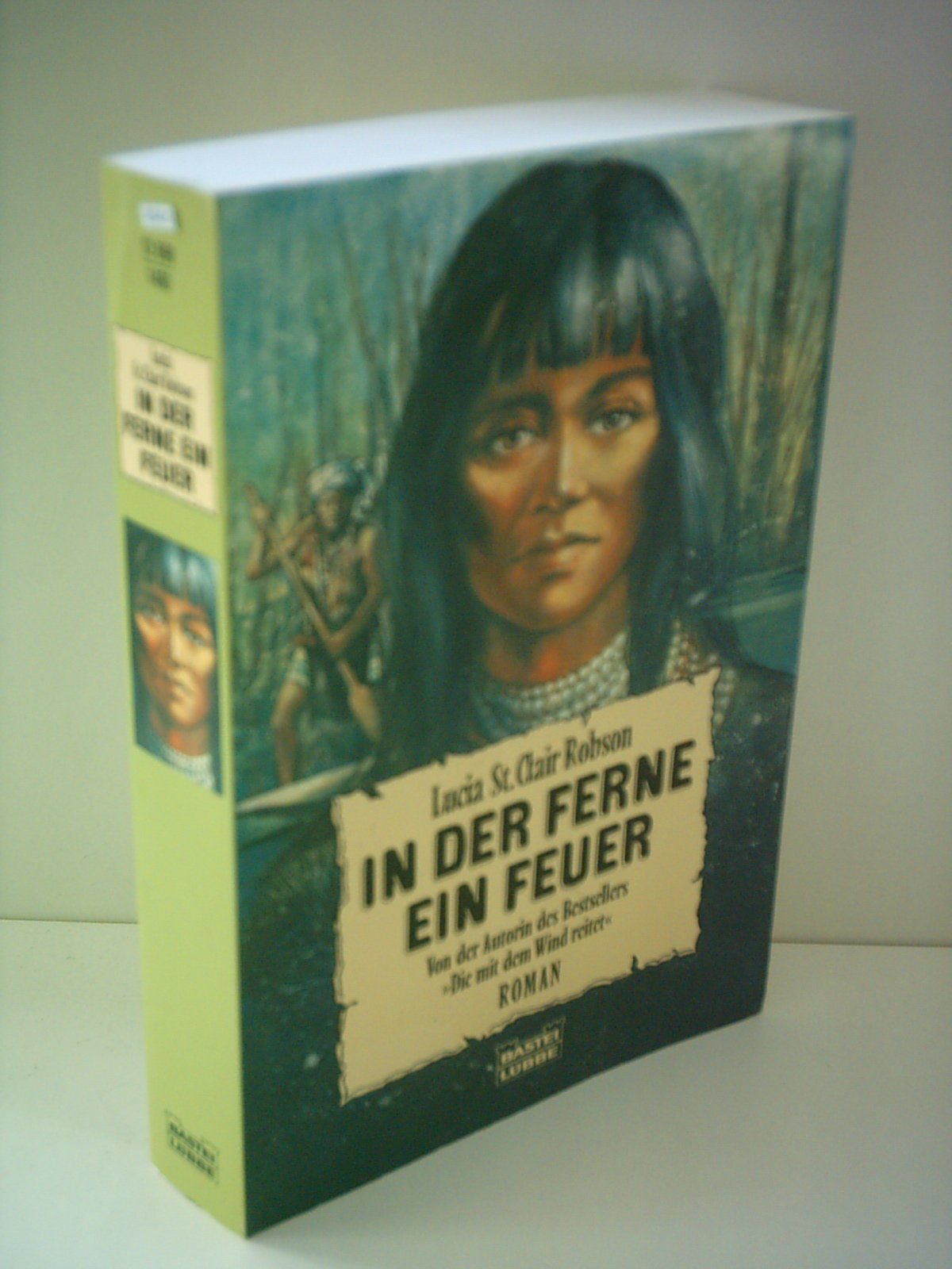 In der Ferne eine Feuer (Allgemeine Reihe. Bastei Lübbe Taschenbücher) Historical Fiction