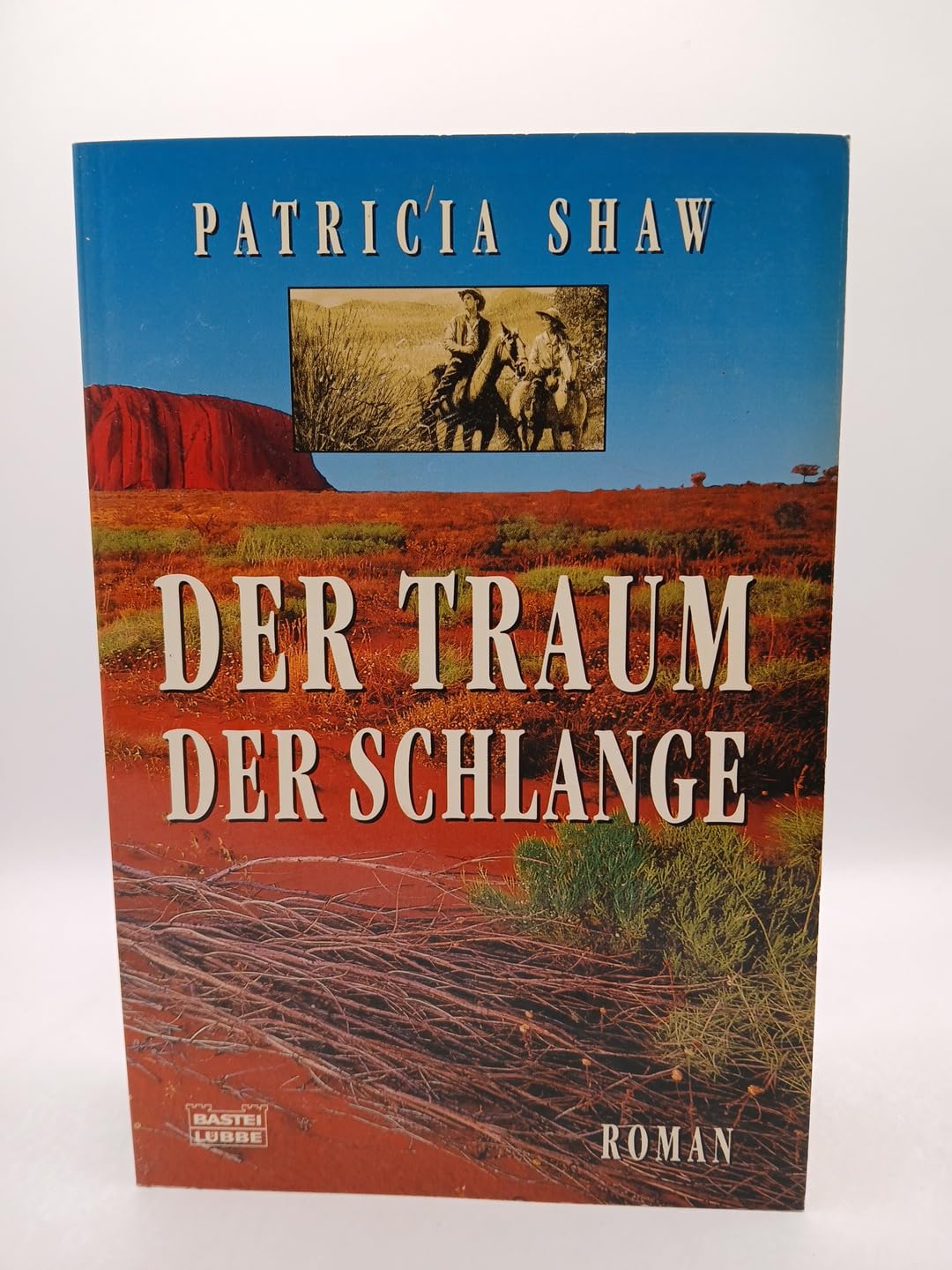 Der Traum der Schlange: Roman (Allgemeine Reihe. Bastei Lübbe Taschenbücher) Books